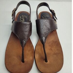 Arpeggios Womens 6M Sandals Thong,‎ Brown ALL Leather, Buckle, Made BRAZIL, GUC